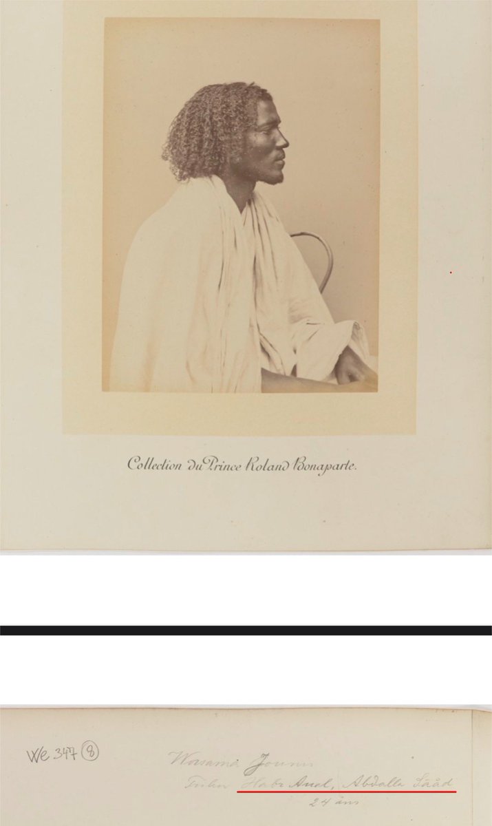 Abu Dawood 🦊🇦🇹 tweet media