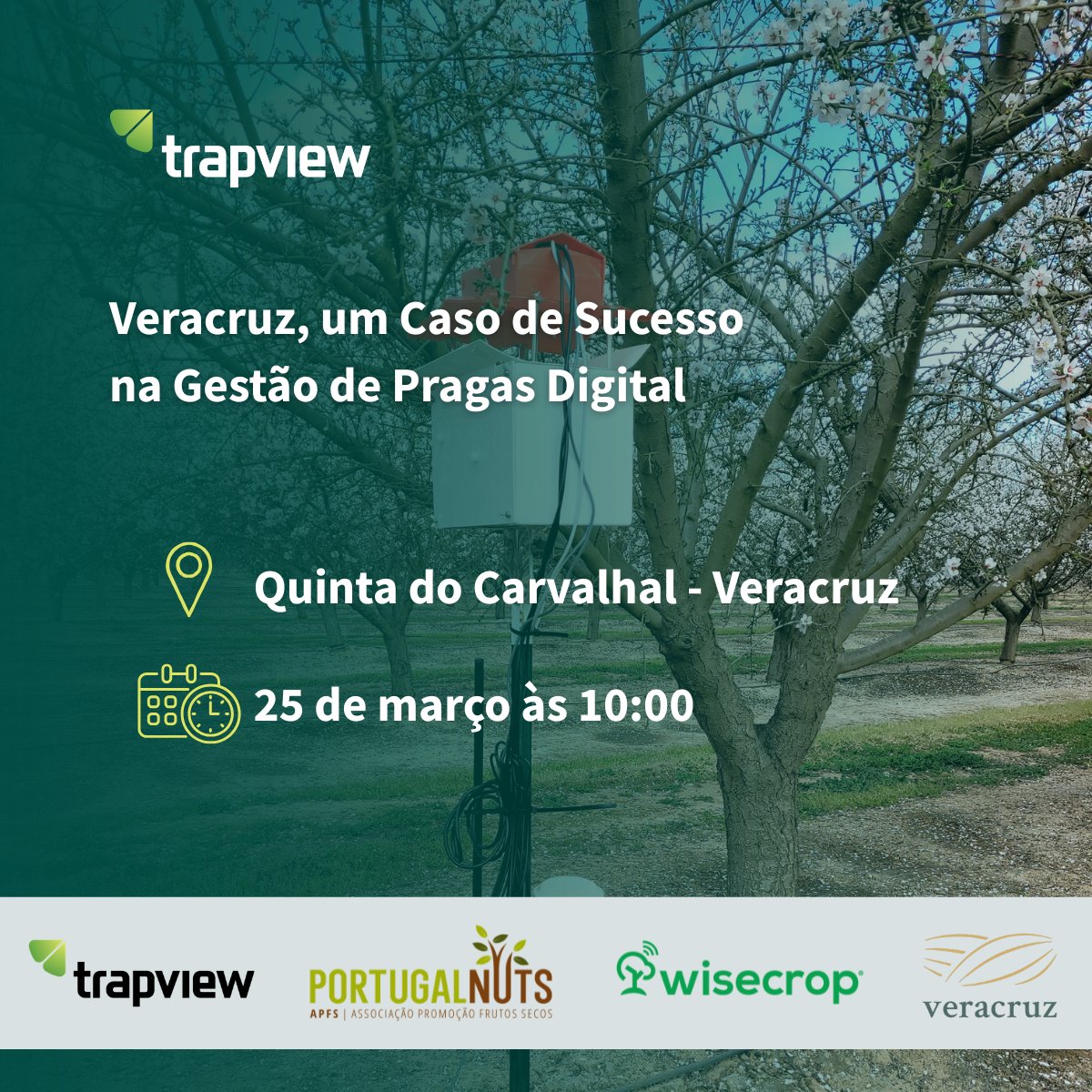 Trapview tweet media