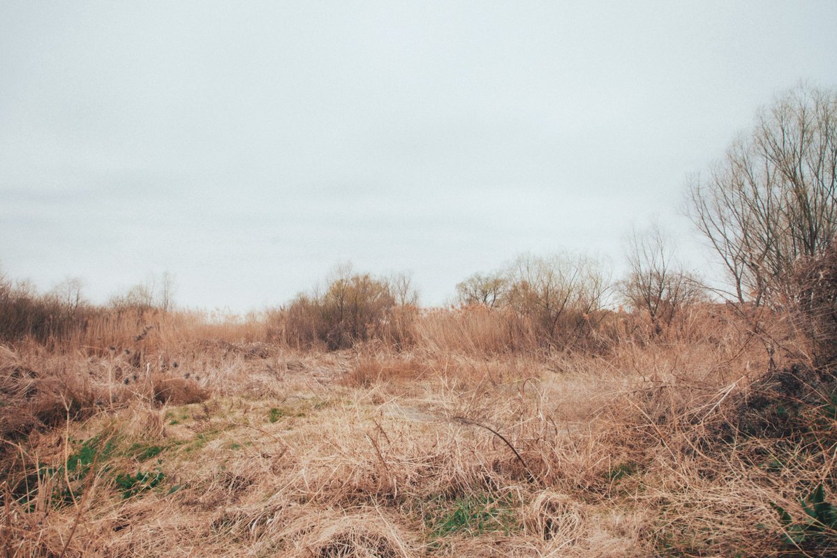 石本一人旅 tweet media