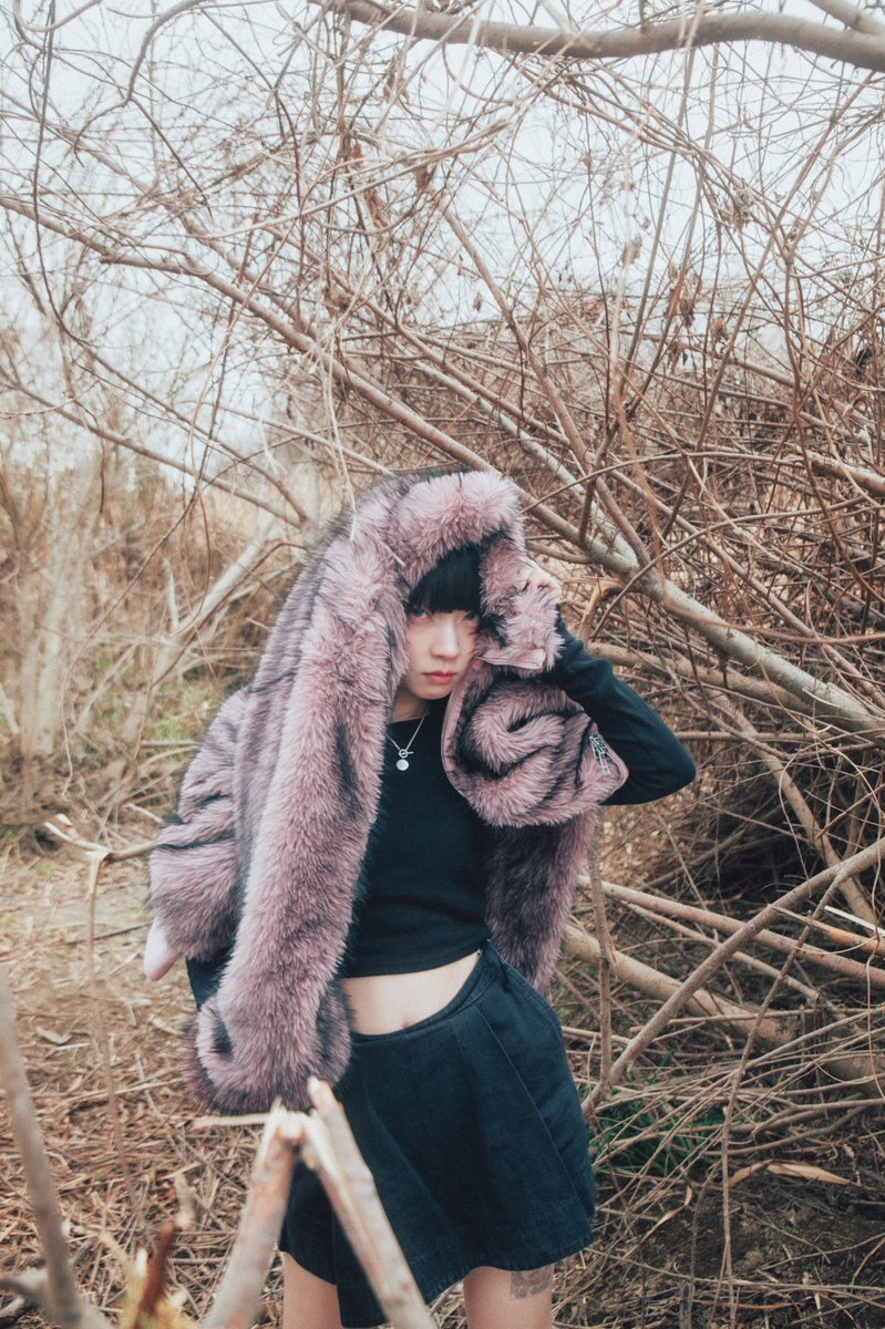 石本一人旅 tweet media