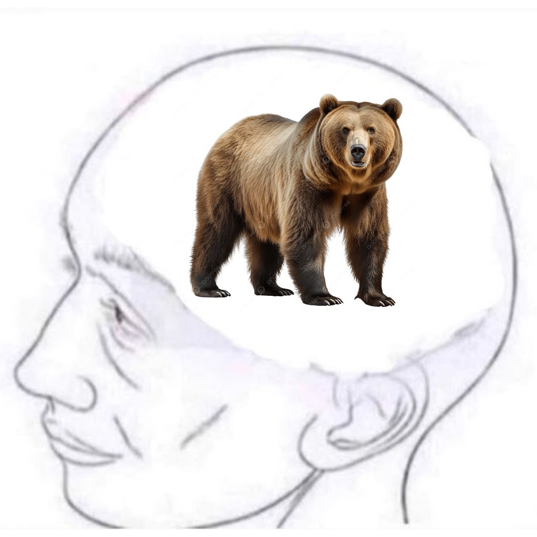 Rakoonz🦝 tweet media