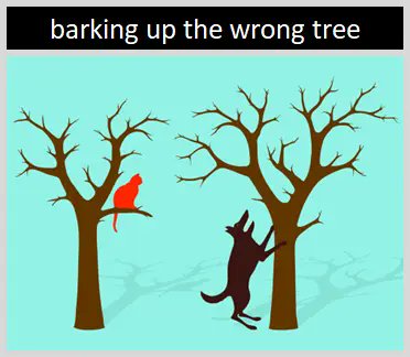 Frank Mardian tweet media