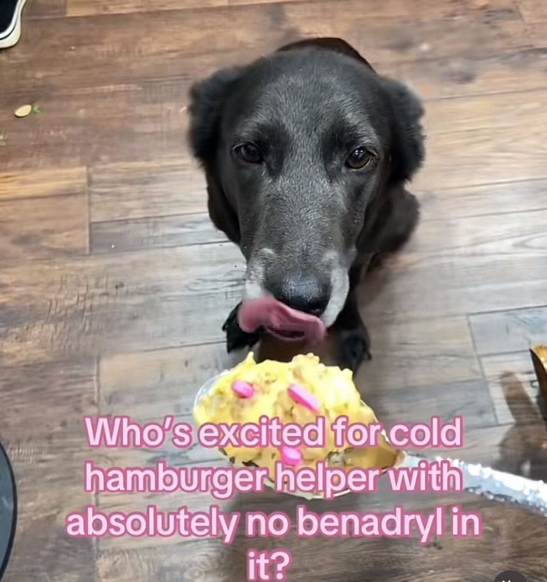 baz 𖦹 ⋆｡° tweet media