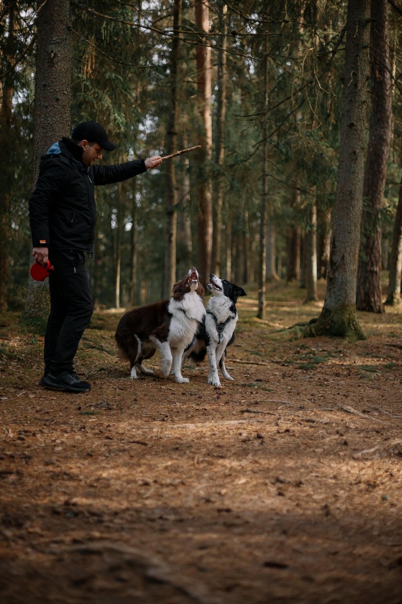kninepets's tweet photo. Grab a toy your pup loves 🎾, keep the fun going strong 🐕💨, and make safety part of every fetch for a happy, healthy dog 🐾❤️

https://t.co/6eA1KQIMCv

#FetchFun #DogPlaytime #HappyPup #Zoomies #DogToys #PlayAllDay #SafePlay #ActiveDogs #HealthyDogs #PetAdventure https://t.co/WSpm1dqR37