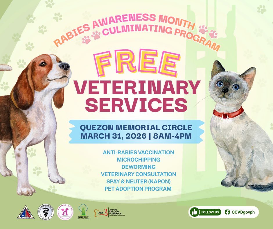 QCGov's tweet photo. 🐾 Rabies Awareness Month Culminating Program 2026 💉

In celebration of Rabies Awareness Month, the Quezon City Veterinary Department invites all QC furparents to our Culminating Program on March 31, 2026 (Tuesday), 9:00 AM – 4:00 PM. https://t.co/tV17DcthLb