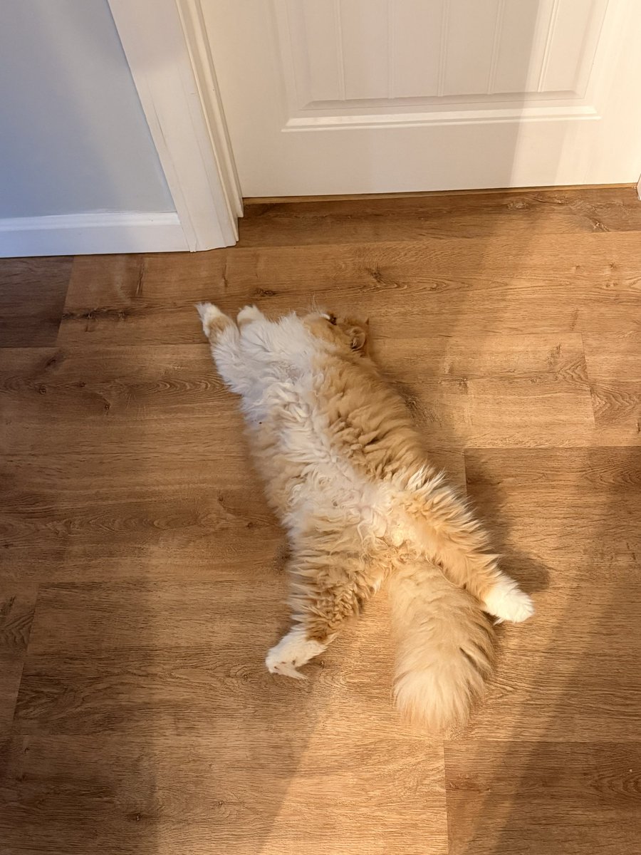 bethany ❤️‍🔥 tweet media