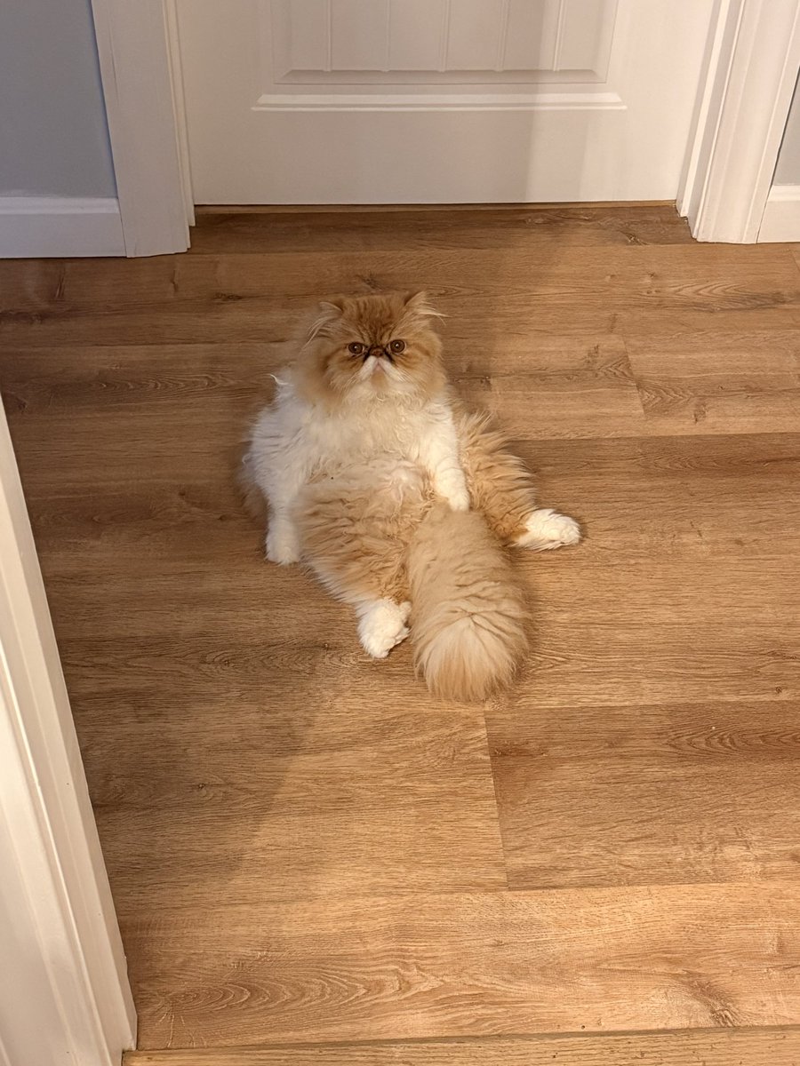 bethany ❤️‍🔥 tweet media