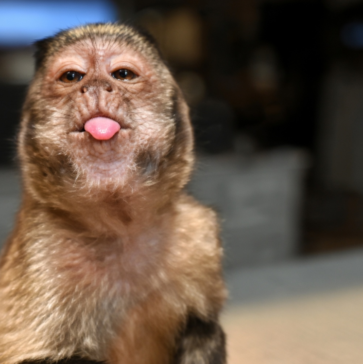 To those who couldn't hold for longer then 3 minutes and sold the bottom: