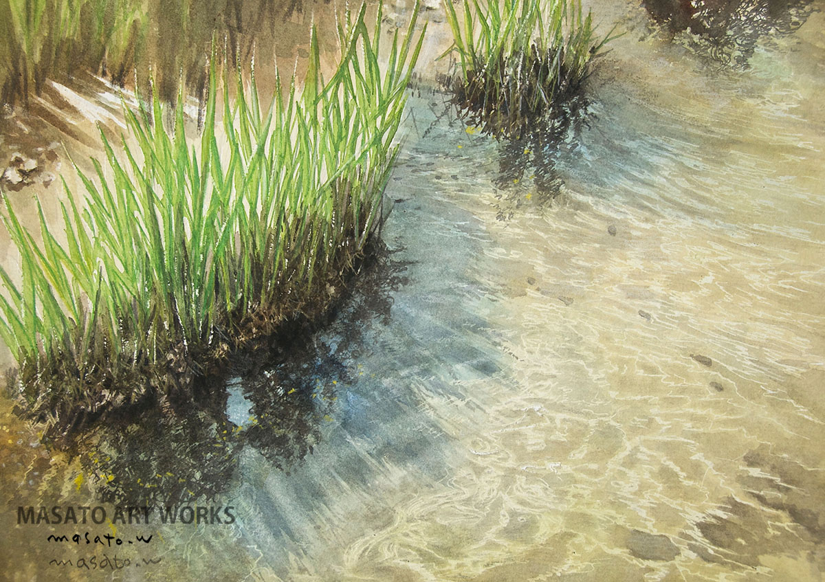 水の色 tweet media