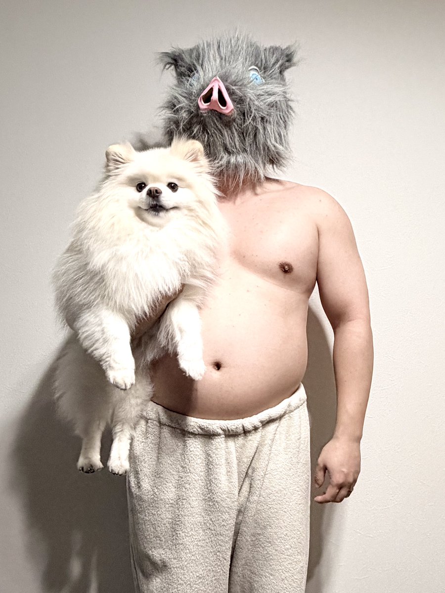 伊之助ボディになるまで毎日腹筋ローラー tweet media