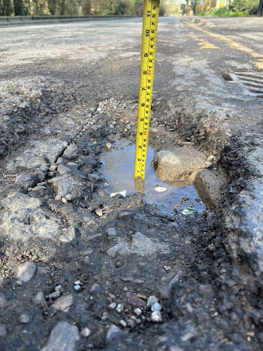 Munco 🩵🐘🩵 tweet media