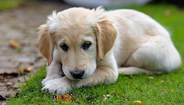 Kyle Hanson tweet media