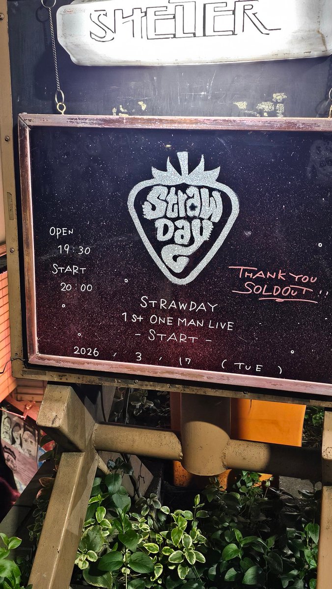 민섹 みんせく tweet media