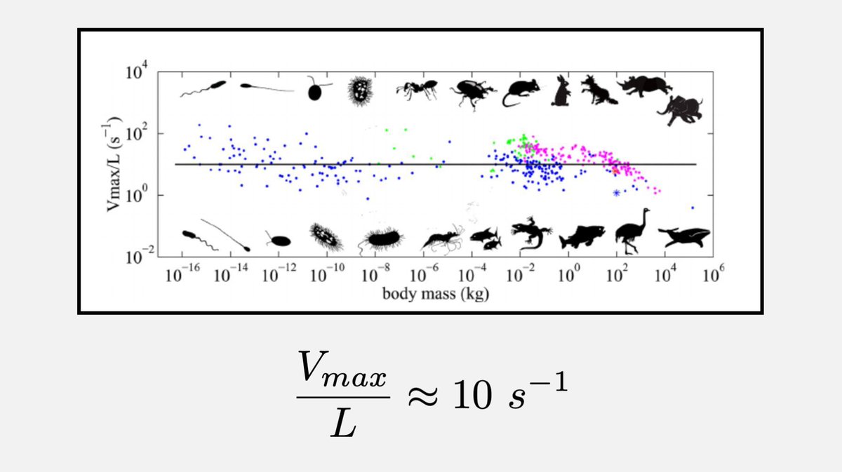 Fermat's Library tweet media