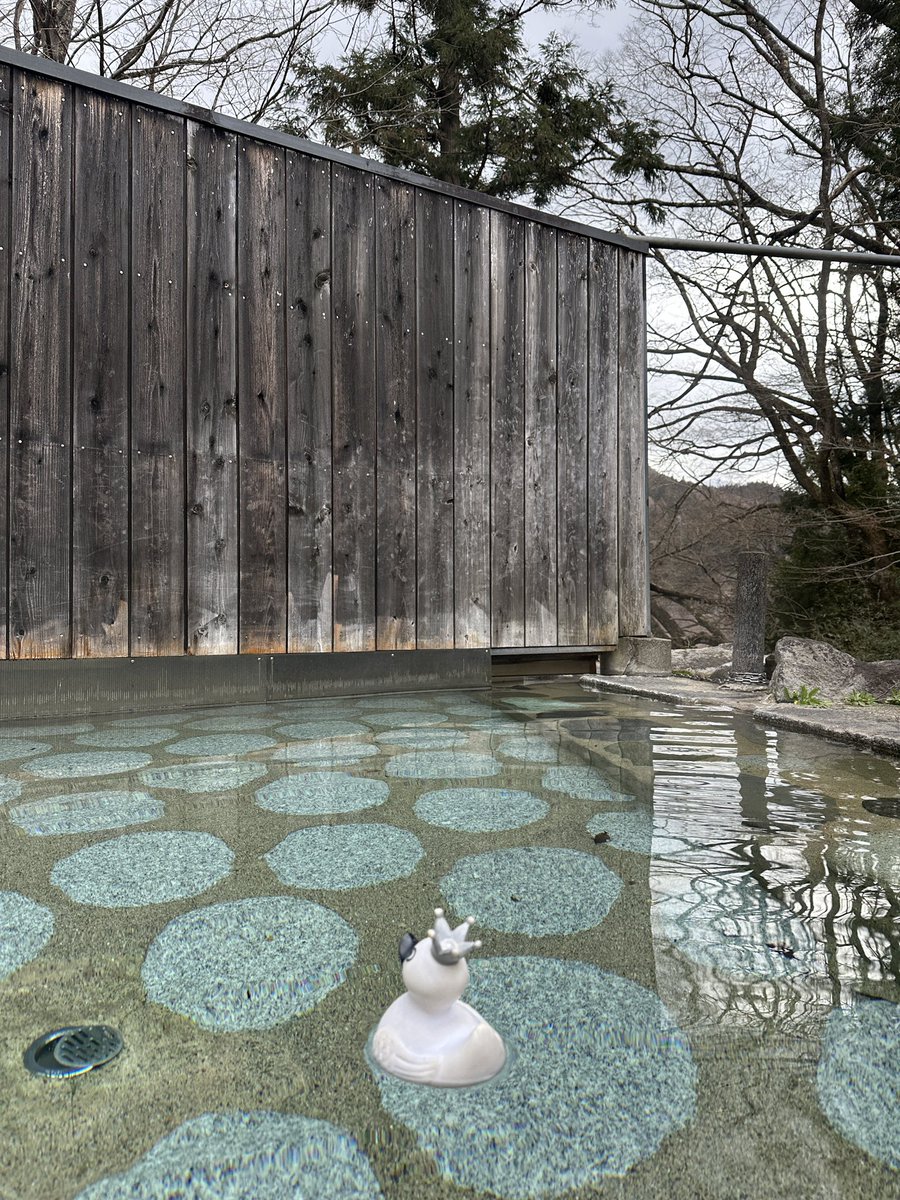 植竹深雪｜♨️ おとな「ひとり温泉旅」のススメ㊗️6刷 tweet media