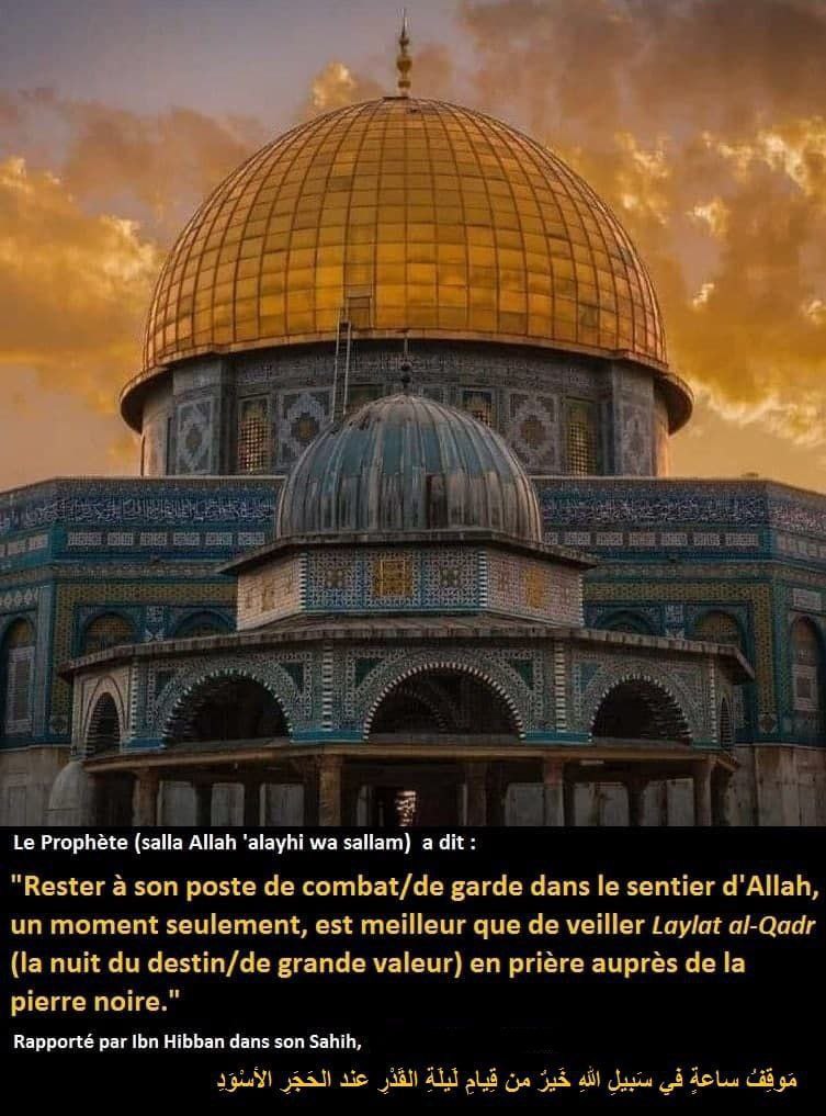 Les Savants du Maghreb tweet media