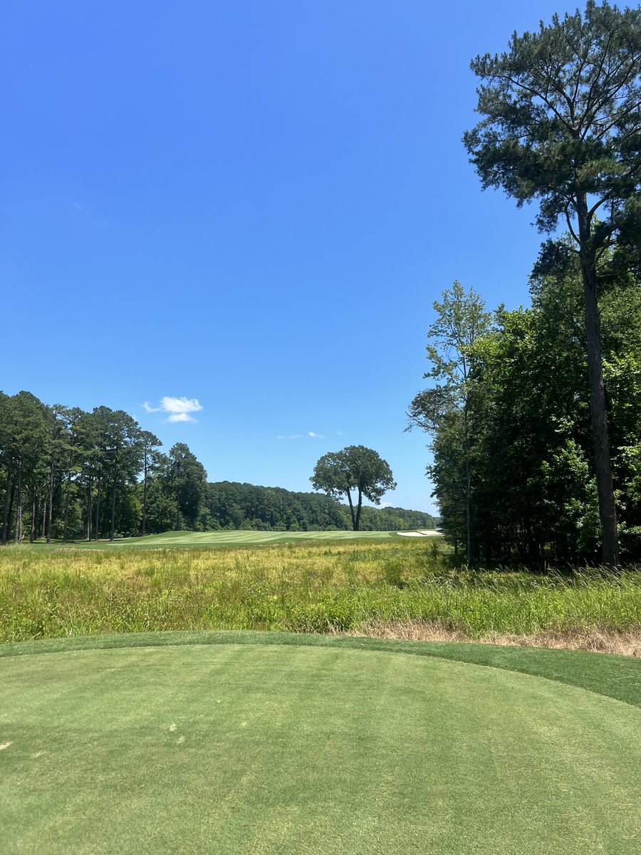 Patrick Meatman tweet media