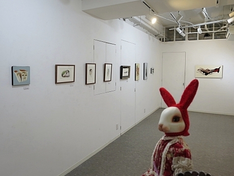 ぴよこ tweet media