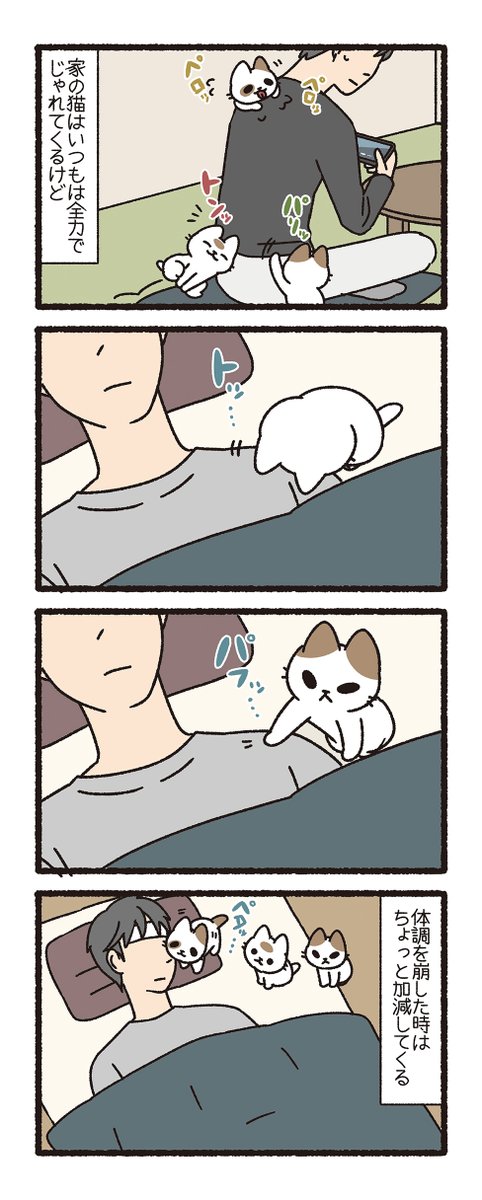 ねこようかい かまいたち その5(2/2) 