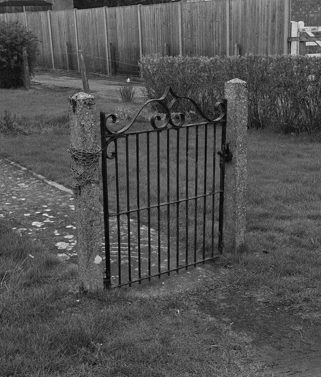 Kate Chapman 🖊️📕 tweet media