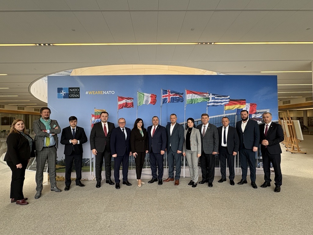 NATO PA / AP-OTAN tweet media