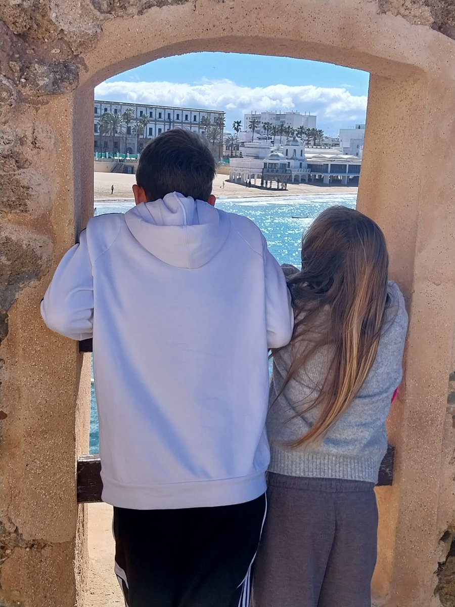 Curriqui tweet media