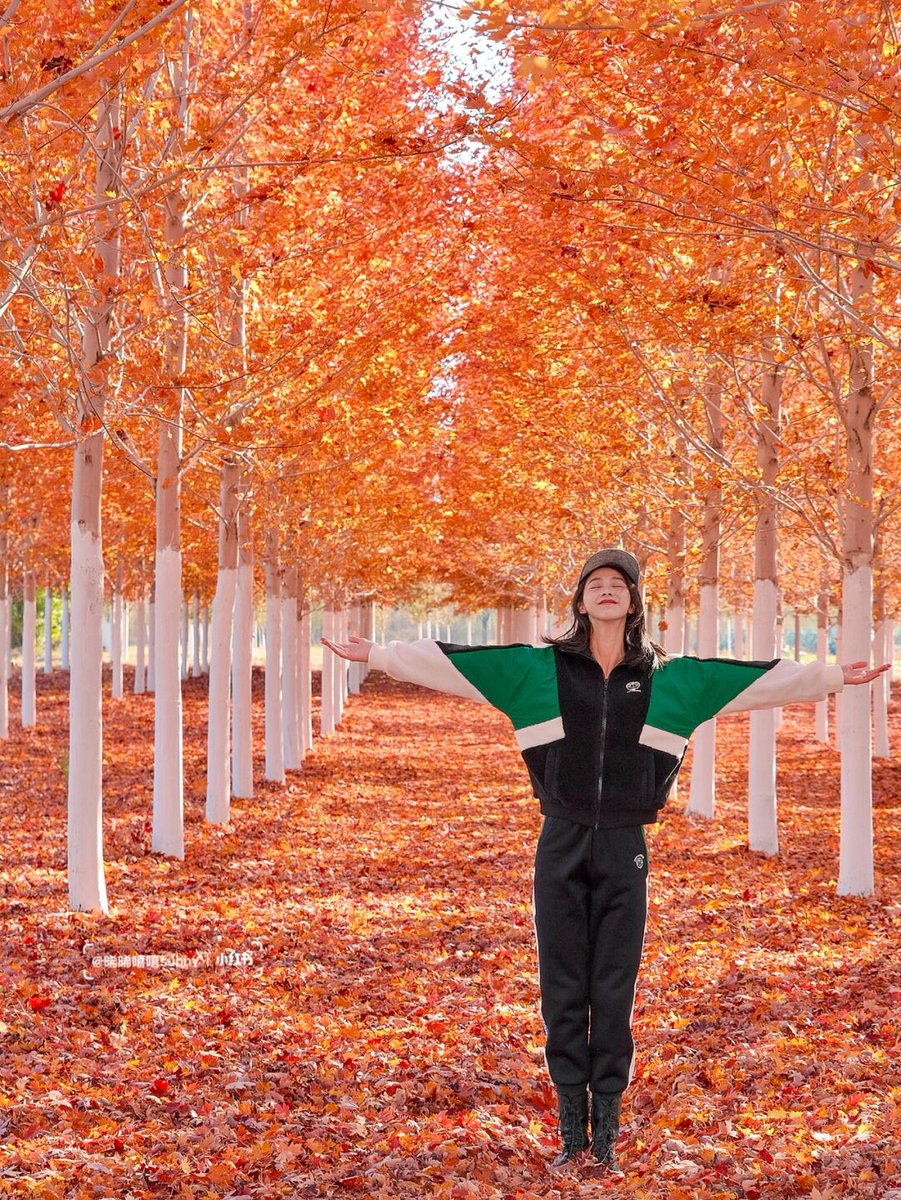 MOH.SYAIFUDIN tweet media