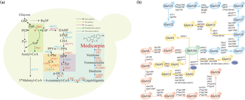 BioDesign Research tweet media