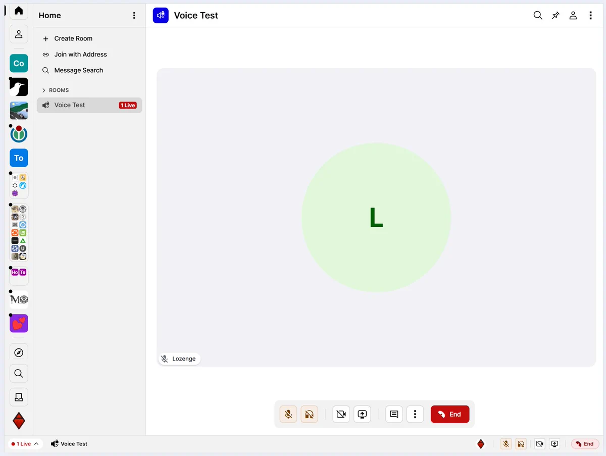 Voice/Video room showing in Cinny matrix client.
