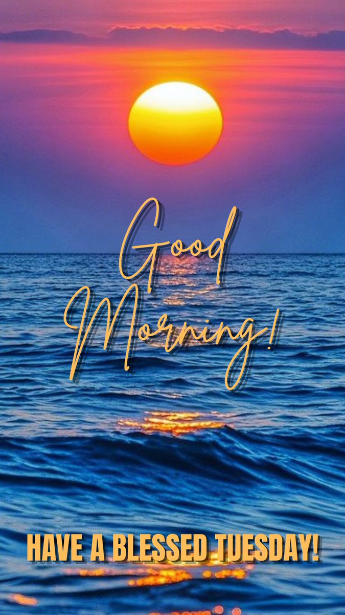 MJ Harris tweet media