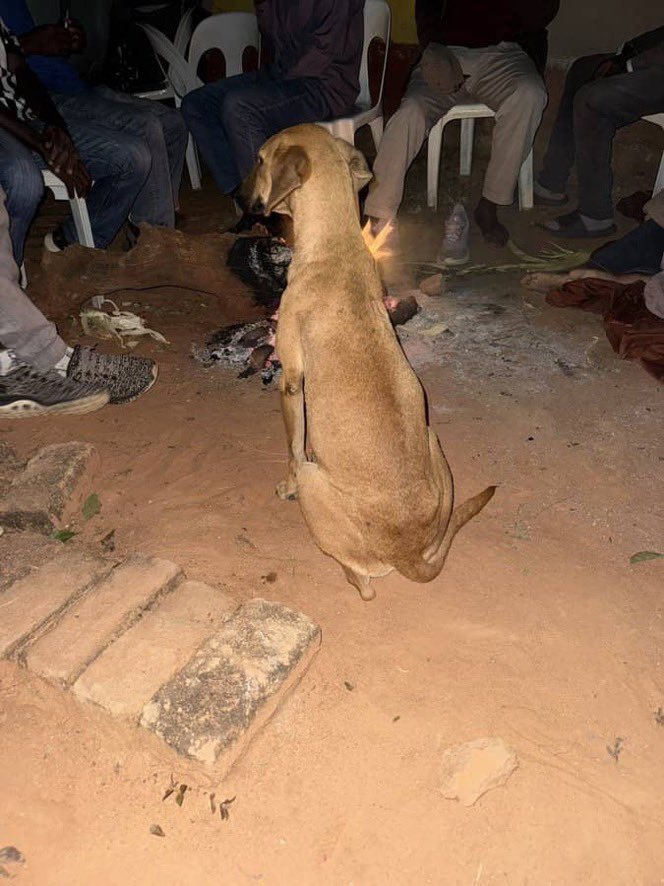 Johnny Not Sins🥷🏾 tweet media