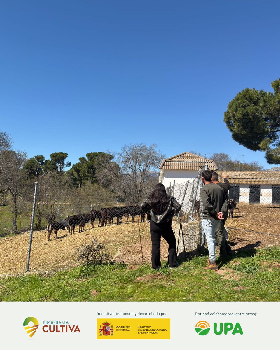 RAÍCES por UPA Joven tweet media