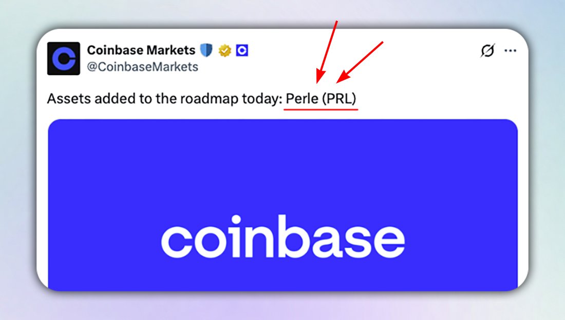 Pranjal Bora 🧭 tweet media