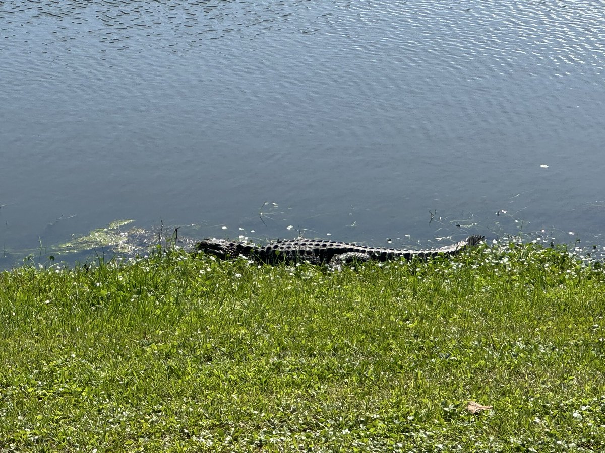 BT’s collection tweet media