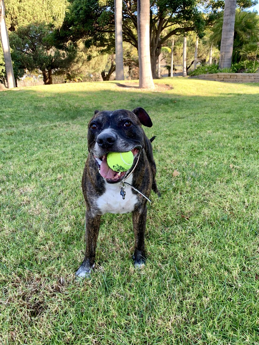 Matthew Davis tweet media