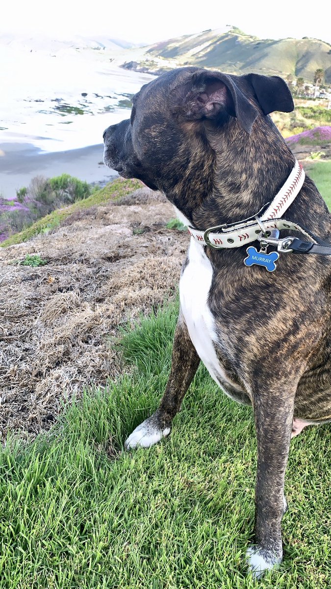 Matthew Davis tweet media