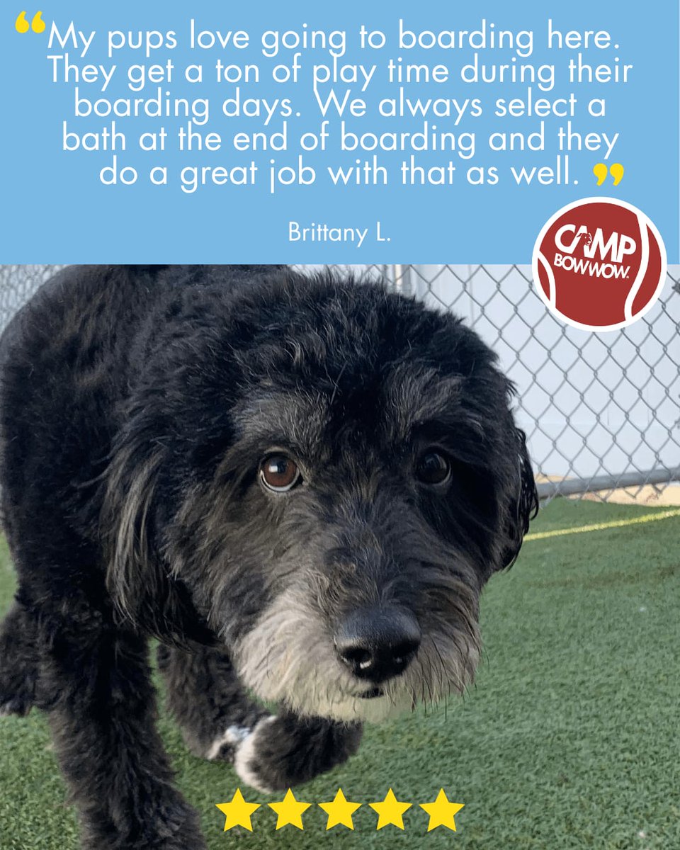 CampBowWowSCS's tweet photo. Nothing feels better than ending an amazing boarding adventure with a spa day at Bow Wow Bath Time! ✨🐕 Play hard, shine bright! 
#SleepoverCamp #CampLife #HappyCampers https://t.co/Xef40lISgd