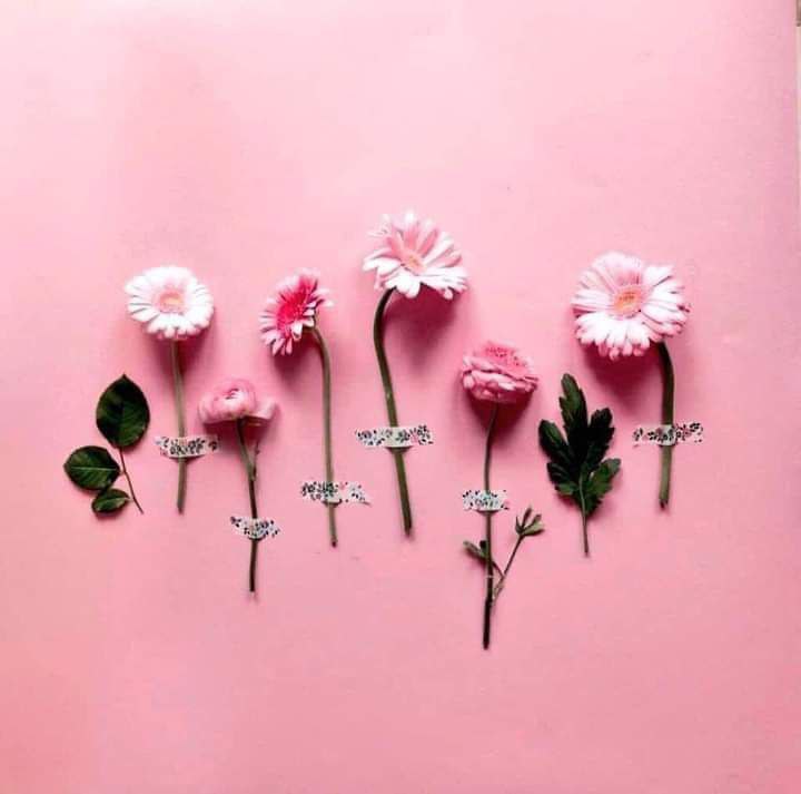 يارب أيّامي في ودائعك أجعلها 
رقيقة مليئة بكل ما يبهج قلِبي .