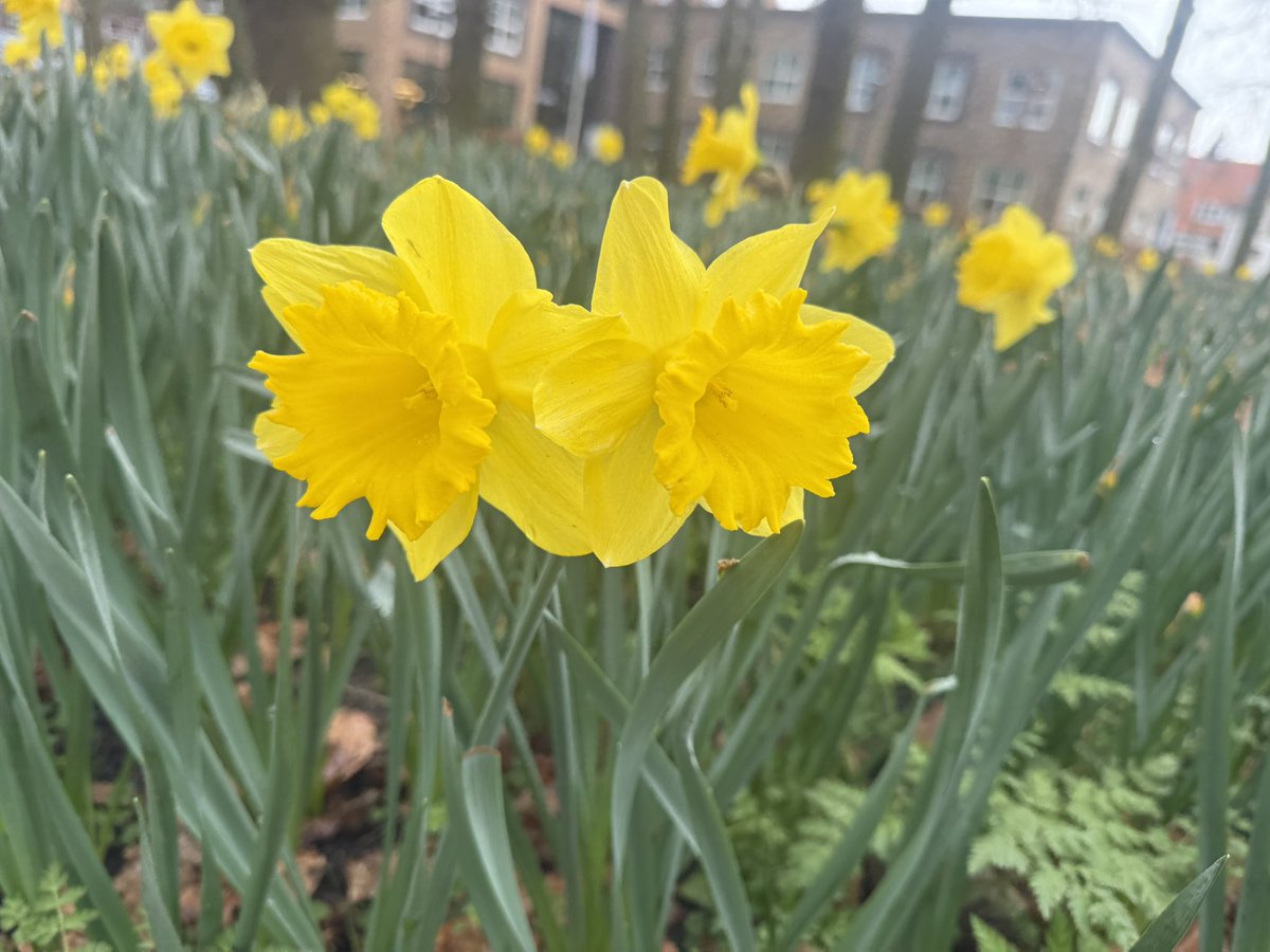 The Dogecoin Family tweet media