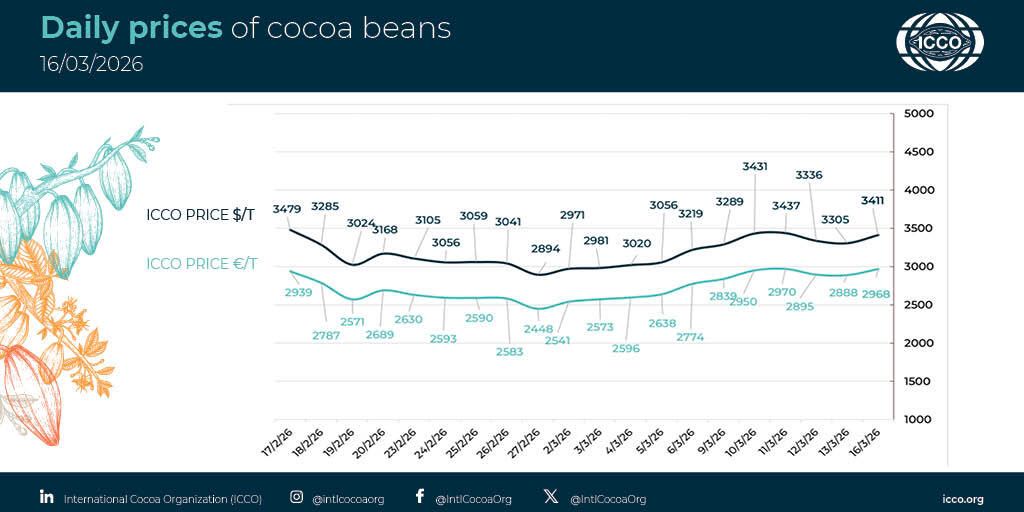 International Cocoa Organization (ICCO) tweet media