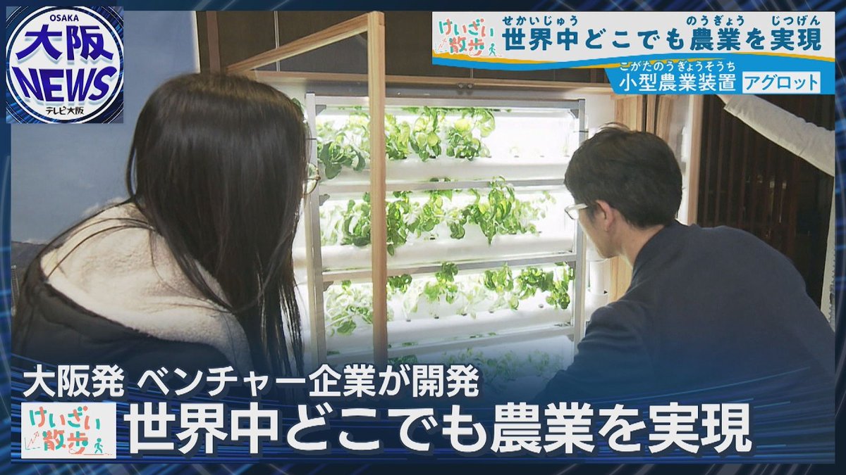 スパイスキューブ株式会社 tweet media