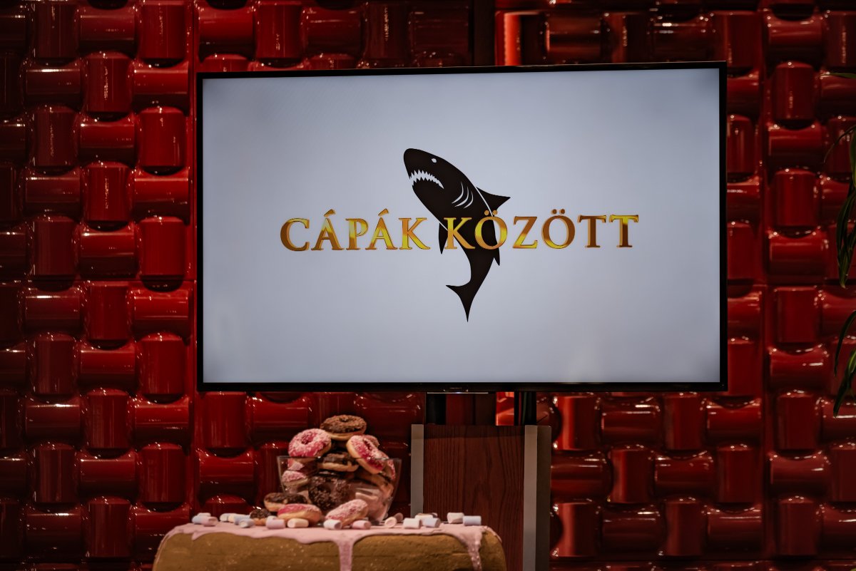 Sohajda Tamas tweet media