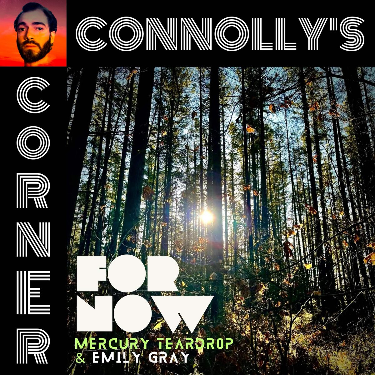 New Artist Spotlight tweet media