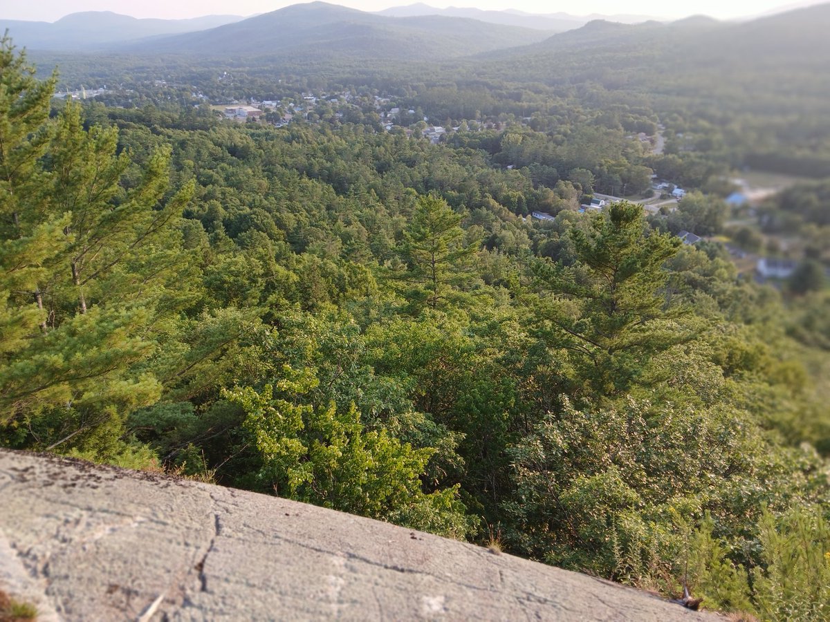 Truth Reporter tweet media