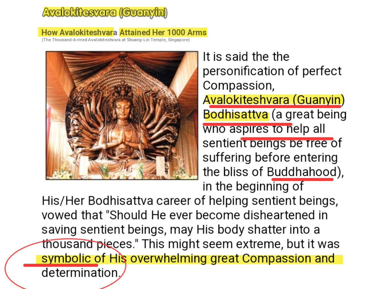 Sumed Tare tweet media