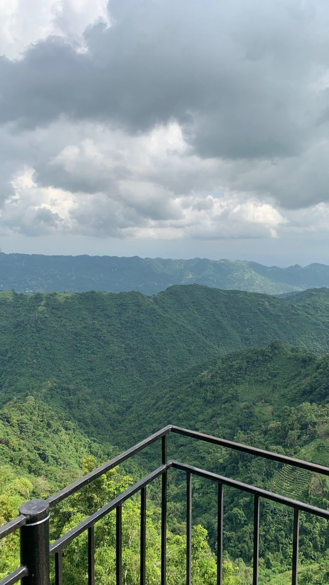 Emperor.SOL tweet media