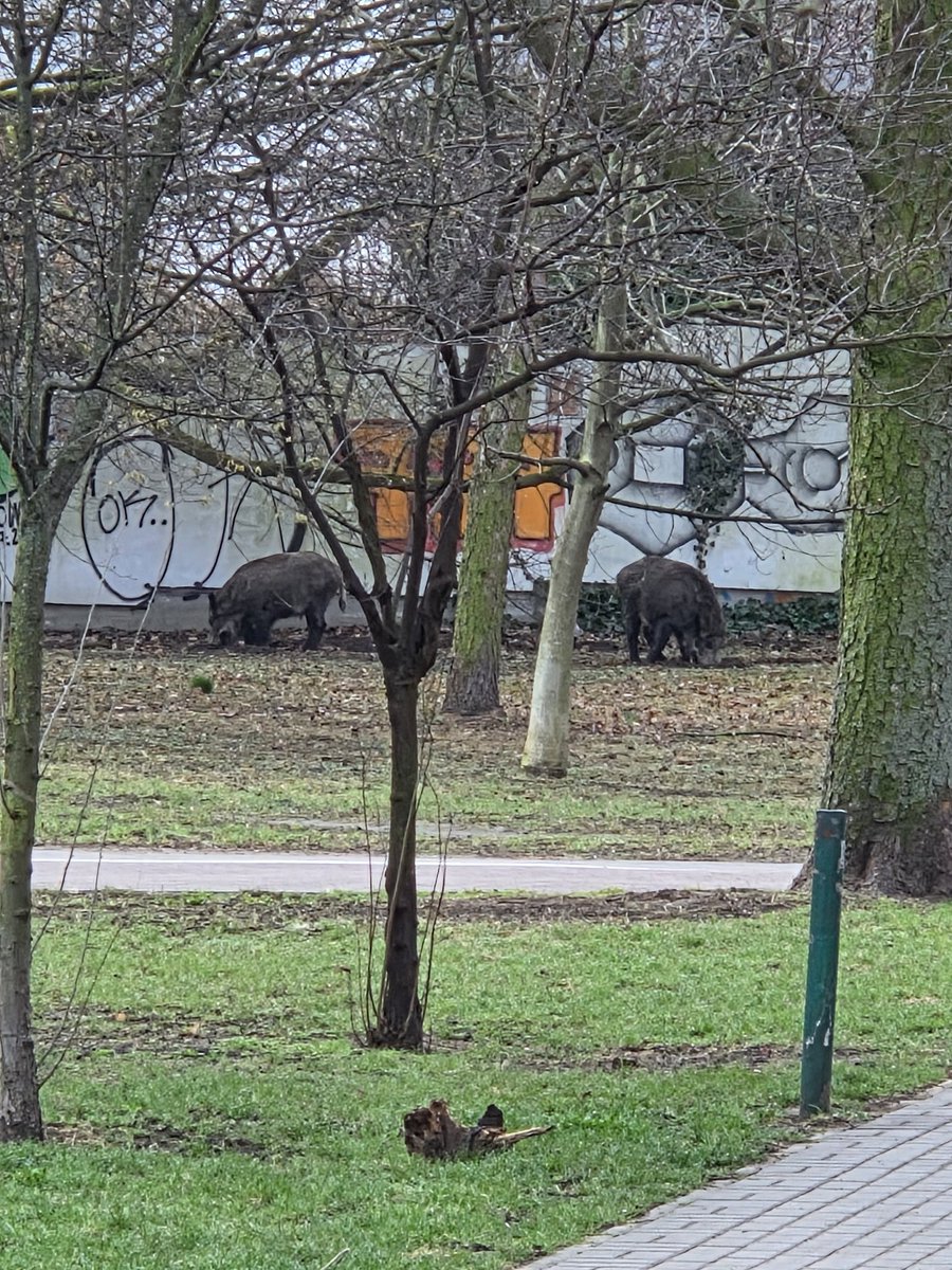 Marcin Dobski tweet media