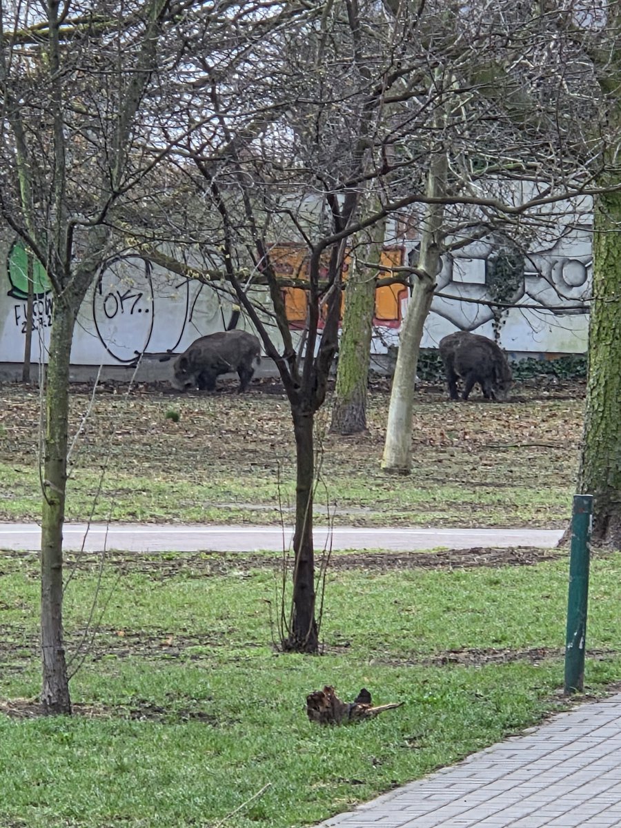 Marcin Dobski tweet media