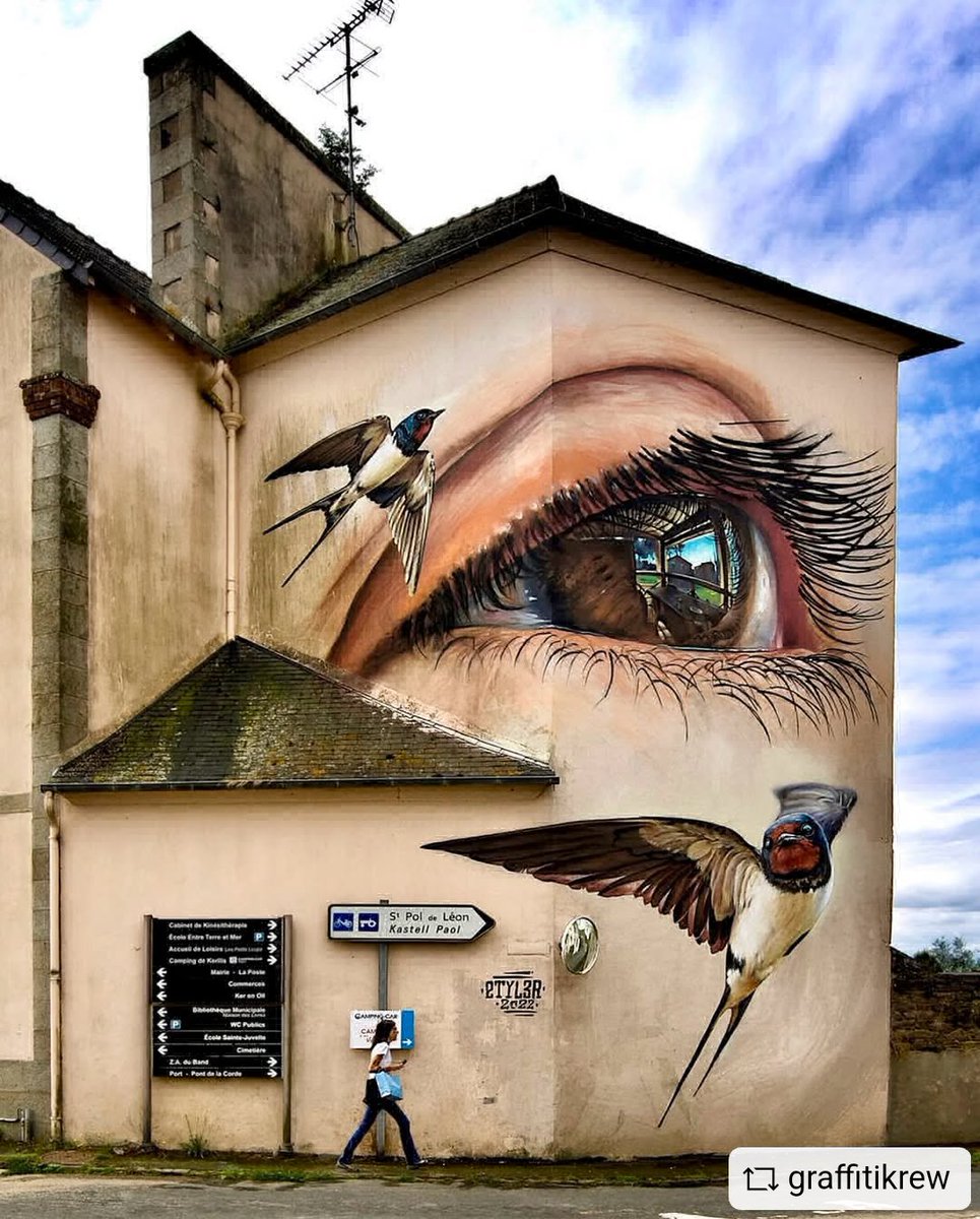 Conchi Lillo🧠🔬👀 tweet media