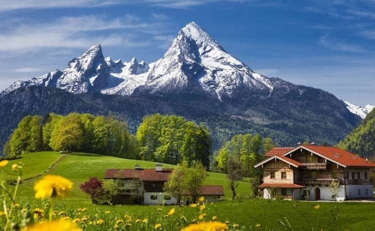 novaworld tweet media